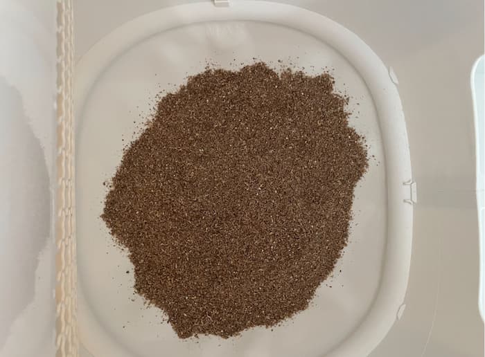 Looking down at Catalyst litter for cats
