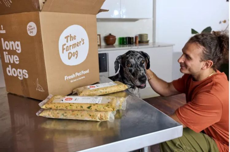 The Farmer's Dog as big dog looks on with owner