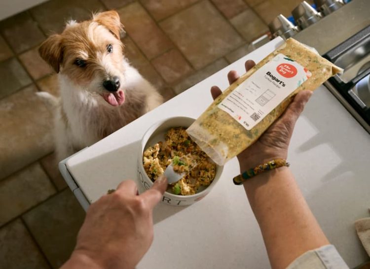 The Farmer's Dog cost with dog looking up at food