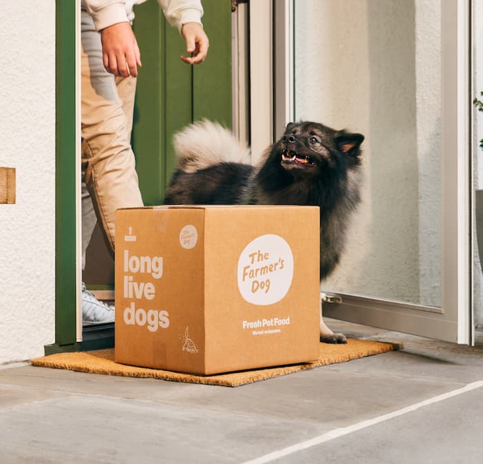 The Farmer's Dog as pup looks at owner at doorstep