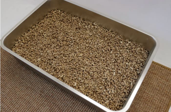wood cat litter from Catalyst